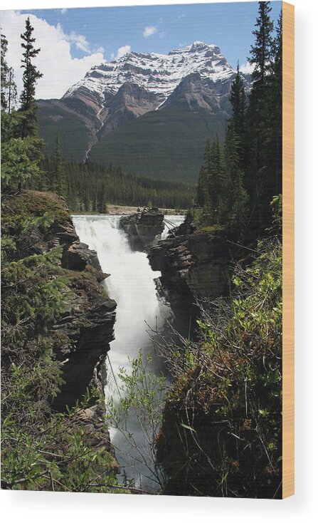 Waterfalls Wood Print featuring the photograph Athasbasca Falls by Mary Gaines