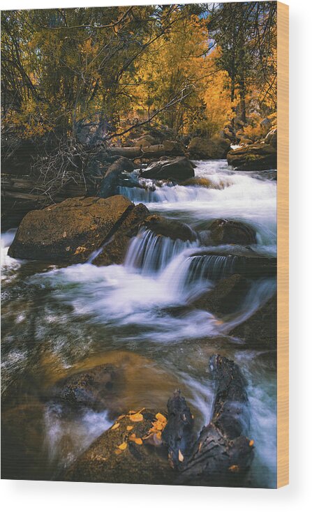 Water Wood Print featuring the photograph Autumn Cascade by Jason Roberts