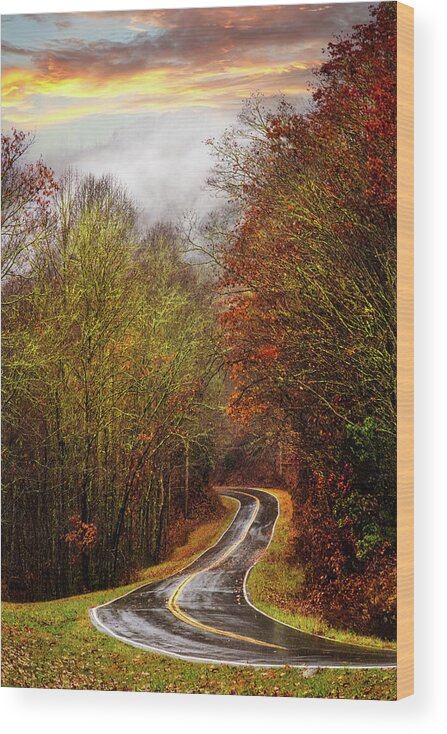Carolina Wood Print featuring the photograph Autumn Curves in the Rain by Debra and Dave Vanderlaan