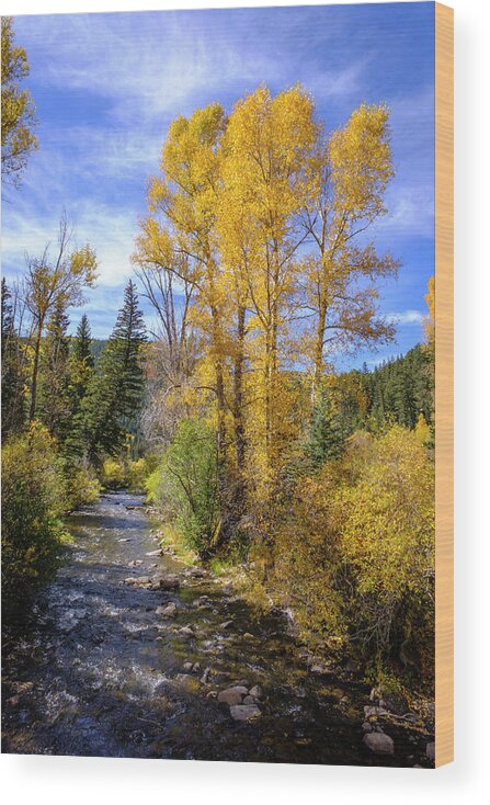 Scenic Wood Print featuring the photograph Autumn Day in New Mexico Blue Skies Golden Trees by Mary Lee Dereske