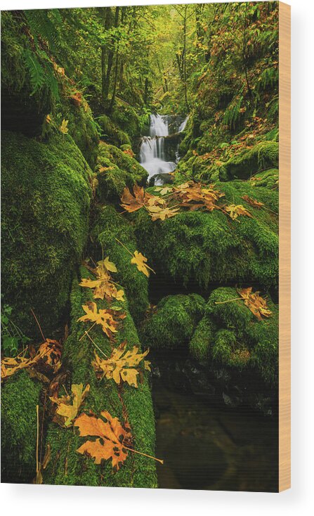 Emerald Falls Wood Print featuring the photograph Autumn Glory at Emerald Falls in Columbia River Gorge in Oregon USA by Vishwanath Bhat