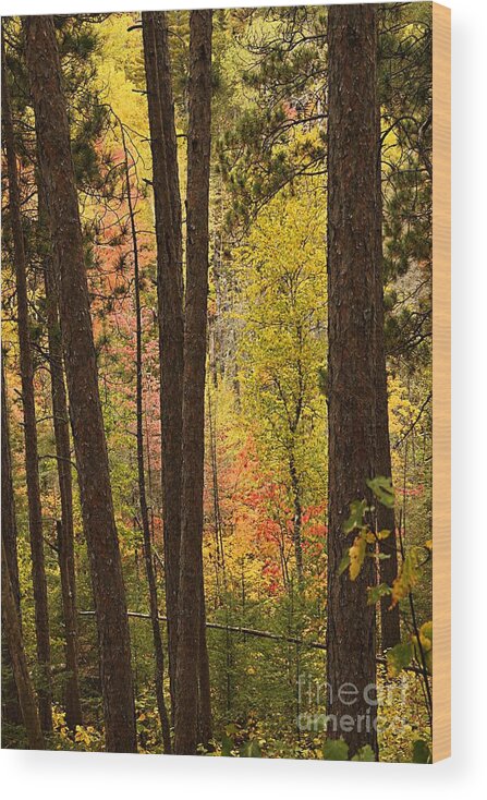 Landscape Wood Print featuring the photograph Autumn in Hiding by Larry Ricker