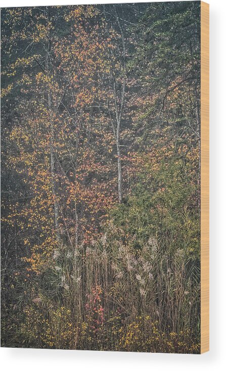 Maryland Wood Print featuring the photograph Autumn Morning 4 by Robert Fawcett