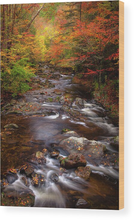 Smoky Wood Print featuring the photograph Autumn Stream by Andrew Soundarajan