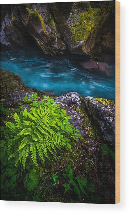 Glacier National Park Wood Print featuring the photograph Azure by Ryan Smith