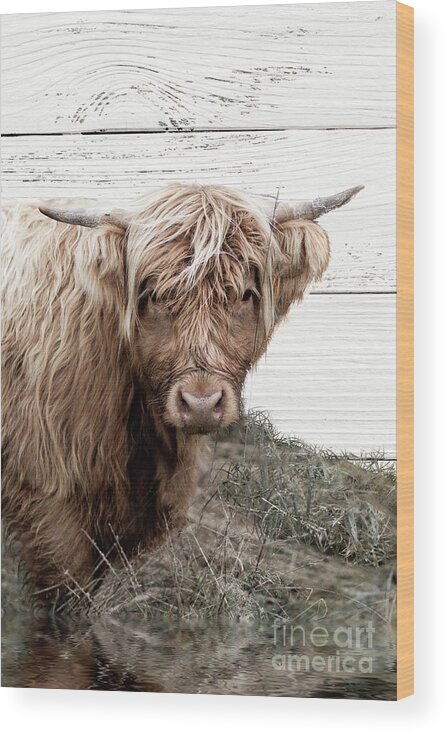 Cow Wood Print featuring the photograph Barnaby by Mindy Sommers