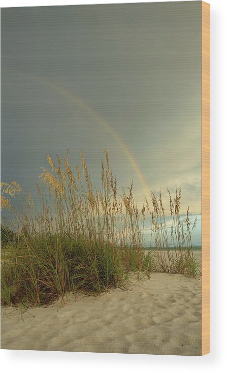 Beach Wood Print featuring the photograph Beach Rainbow by Carolyn Hutchins