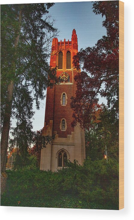 Michigan State University Wood Print featuring the photograph Beaumont Tower on the Michigan State University campus at sunrise by Eldon McGraw