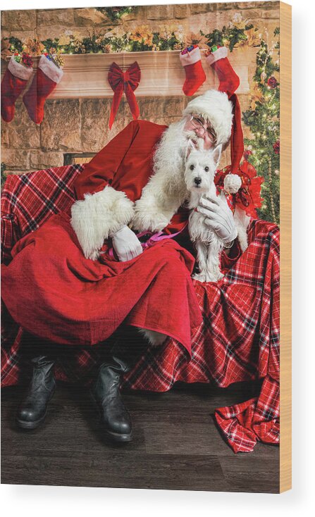 Bella Rose Wood Print featuring the photograph Bella Rose with Santa 2 by Christopher Holmes