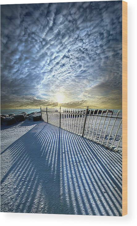 Sun Wood Print featuring the photograph Beyond the Reach by Phil Koch