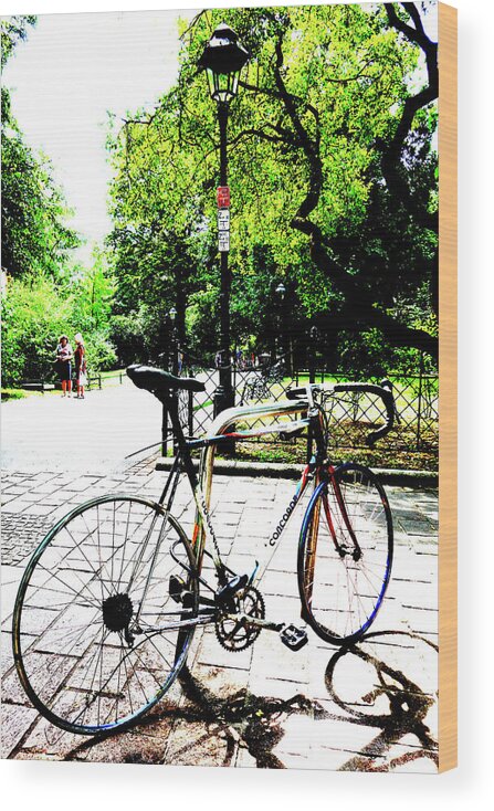 Tree Wood Print featuring the photograph Bicycle In Park In Krakow, Poland by John Siest