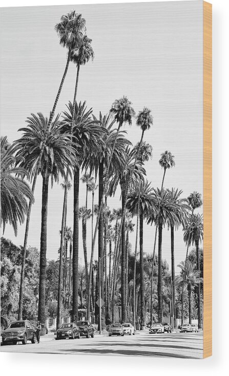Los Angeles Wood Print featuring the photograph Black California Series - L.A's Palm Trees by Philippe HUGONNARD