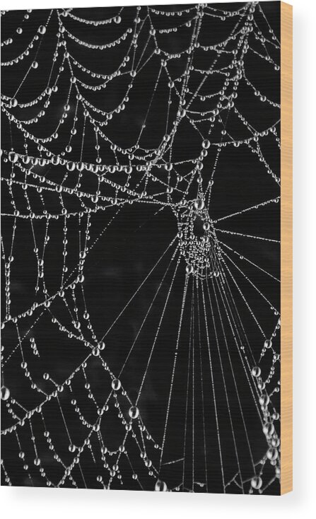 Black Wood Print featuring the photograph Black Web by WAZgriffin Digital