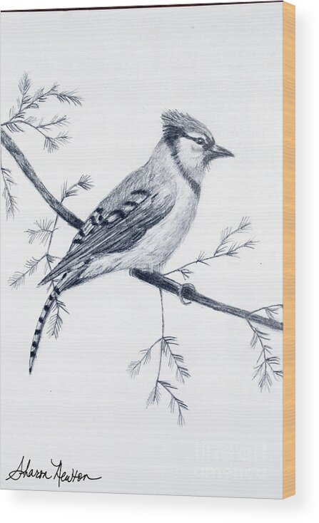 Blue Jay Sketch Wood Print by Sharon Newton - Pixels