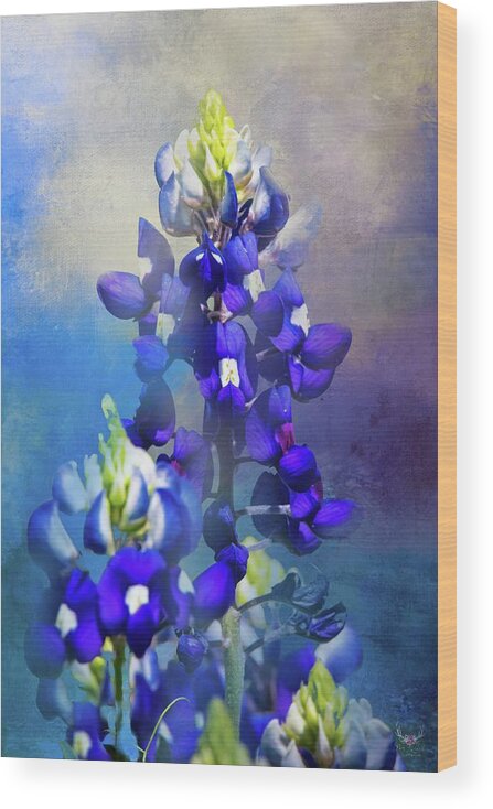 Texas Wood Print featuring the photograph Bluebonnets by Pam Rendall