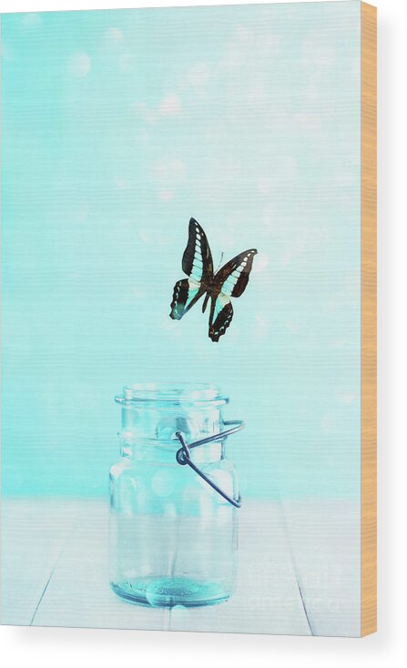 Bluebottle Wood Print featuring the photograph Bluebottle Butterfly Escaping a Blue Mason Jar by Stephanie Frey