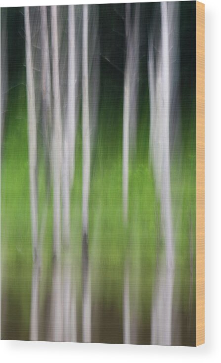 Jordan Lake Wood Print featuring the photograph Blurred Reflection by Melissa Southern