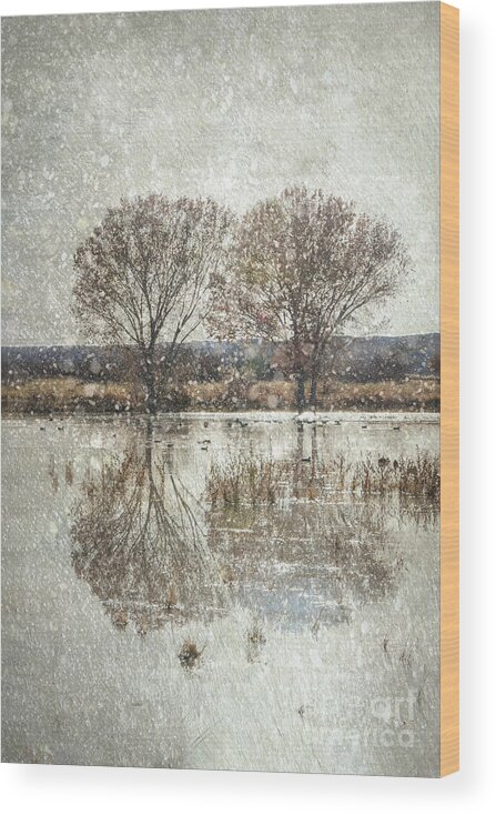 Snow Wood Print featuring the photograph Bosque del Apache in a Snow Storm by Lisa Manifold