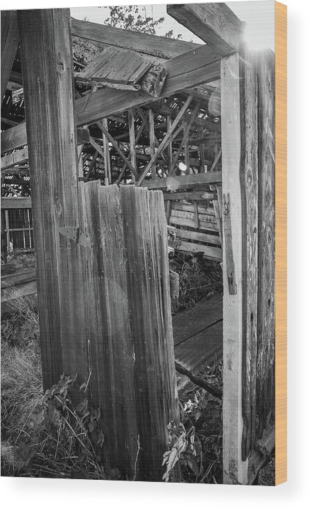 Antique Barn Door Wood Print featuring the photograph Broken Door by Gina Cinardo