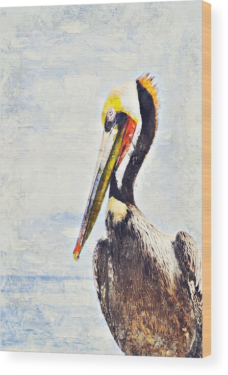 Pelican Wood Print featuring the digital art Brown Pelican by Bonny Puckett