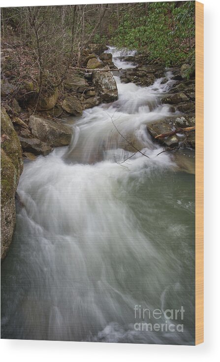 Triple Falls Wood Print featuring the photograph Bruce Creek 3 by Phil Perkins