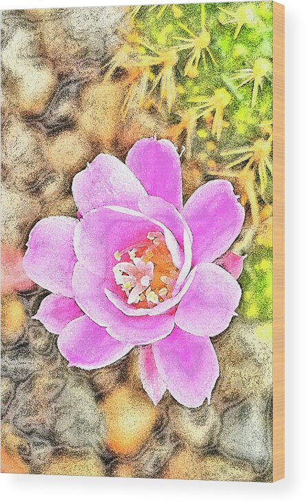 Cactus Flower Wood Print featuring the digital art Cactus Flower. REBUTIA by Andy i Za