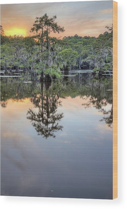 Caddo Lake Wood Print featuring the photograph Caddo Lake Sunset V by JC Findley