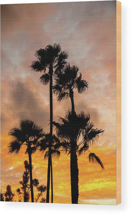 Tree Landscape Wood Print featuring the photograph California Dreaming by Terry Walsh