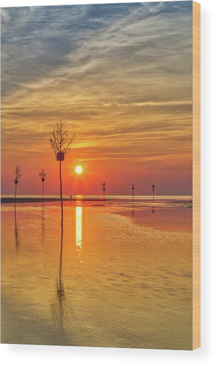 Cape Cod Sunset Wood Print featuring the photograph Cape Cod Sunset by Juergen Roth