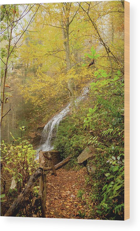 Nature Wood Print featuring the photograph Cascade Falls 3 by Cindy Robinson