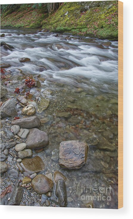 Cascades Wood Print featuring the photograph Cascades On Little River 9 by Phil Perkins