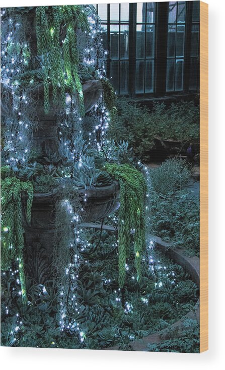 Winter Wood Print featuring the photograph Cascading Succulents Christmas Tree by Kristia Adams