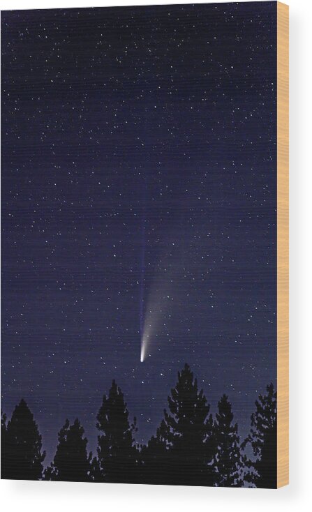 Neowise Comet Wood Print featuring the photograph CDpx_00794 by Clark Dunbar