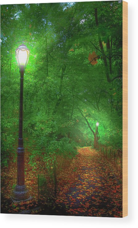 New York City Wood Print featuring the photograph Central Park Ramble by Mark Andrew Thomas