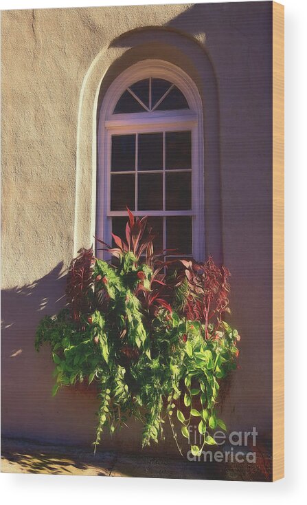 Charleston Wood Print featuring the photograph Charleston Window Box by Kathy Baccari