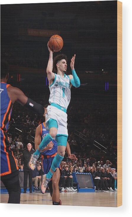 Nba Pro Basketball Wood Print featuring the photograph Charlotte Hornets v New York Knicks by Nathaniel S. Butler