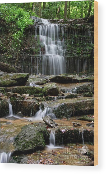 Waterfalls Wood Print featuring the photograph City Lake Falls 15 by Phil Perkins