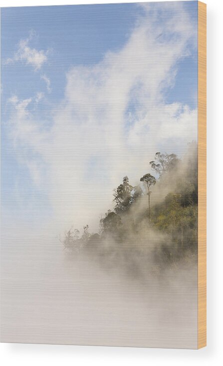 Emergence Wood Print featuring the photograph Clouds rising over mountain top by Merten Snijders