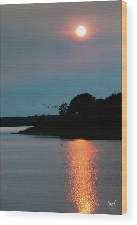 Sunset Wood Print featuring the photograph Coming Home to Roost by Pam Rendall
