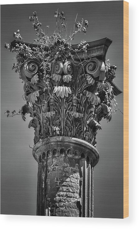 Capital Wood Print featuring the photograph Corinthian Column Capital by Susan Rissi Tregoning