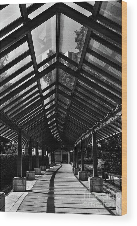 Hamburg Wood Print featuring the photograph Covered Walkway by Yvonne Johnstone