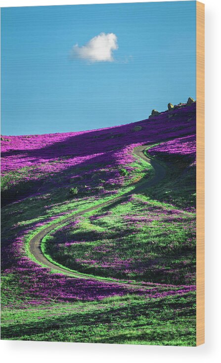 Green Wood Print featuring the photograph Cursed Purple by Ari Rex