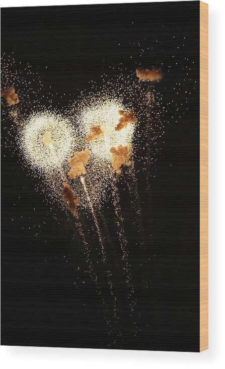 Jane Ford Wood Print featuring the photograph Dandelion Fireworks by Jane Ford