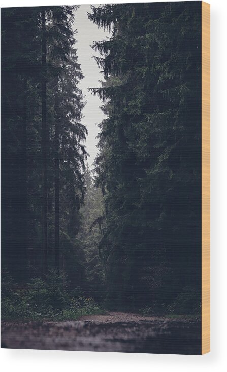 Forest Wood Print featuring the photograph Dark atmosphere in forest. Forgotten road in rainy day by Vaclav Sonnek