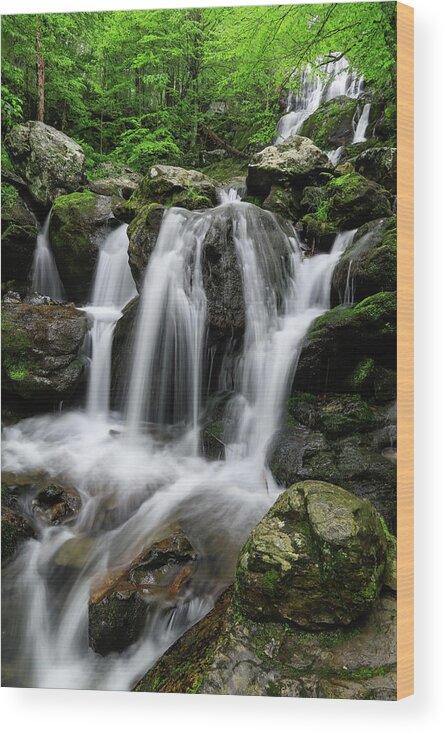Shenandoah Wood Print featuring the photograph Dark Hollow Falls by Chris Berrier