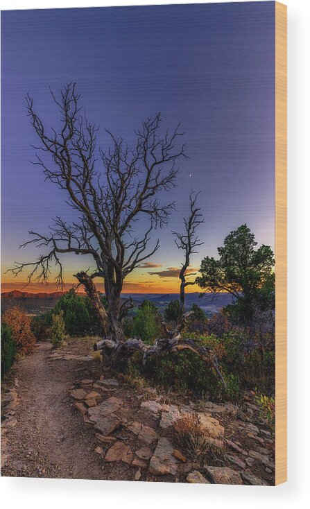 Dead Tree Wood Print featuring the photograph Dead Tree over Durango by Bradley Morris