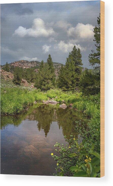  Wood Print featuring the photograph Deer Creek by Laura Terriere