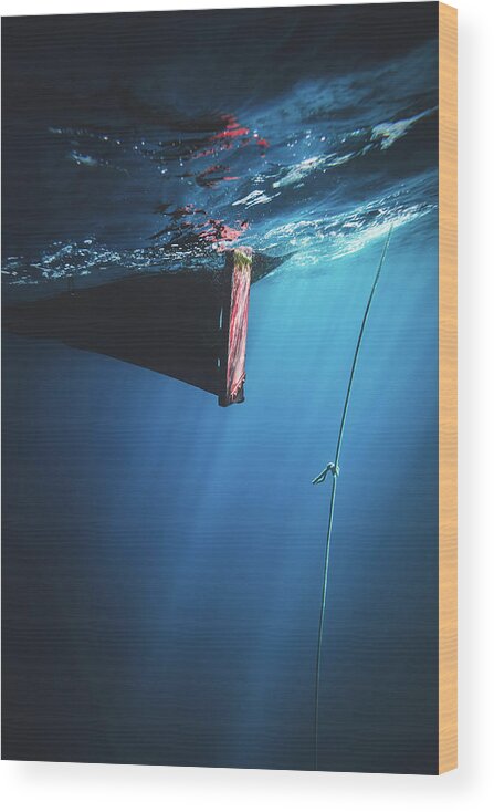 Dive Wood Print featuring the photograph Descending by Sina Ritter