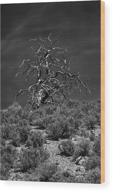 Deserted Wood Print featuring the photograph Deserted in the Desert by Phil Marty