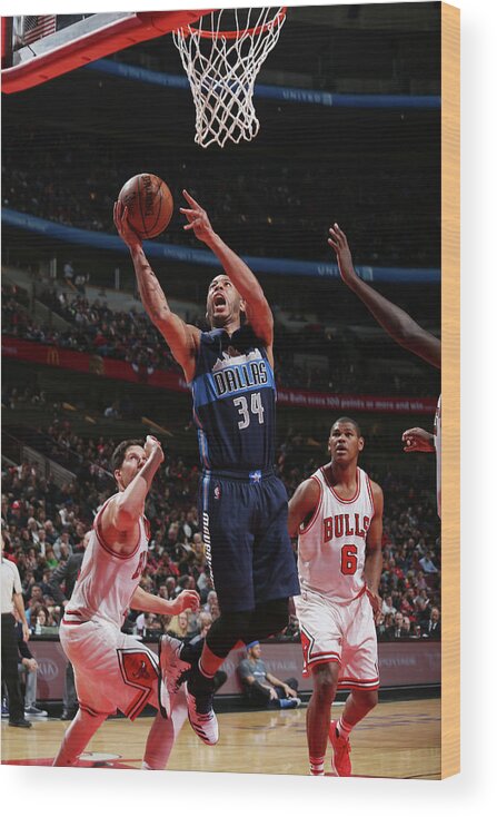Nba Pro Basketball Wood Print featuring the photograph Devin Harris by Gary Dineen